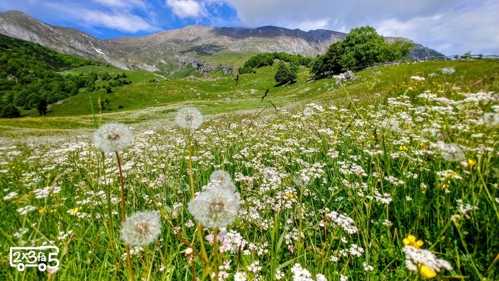 Rifugio Pialeral con bambini
