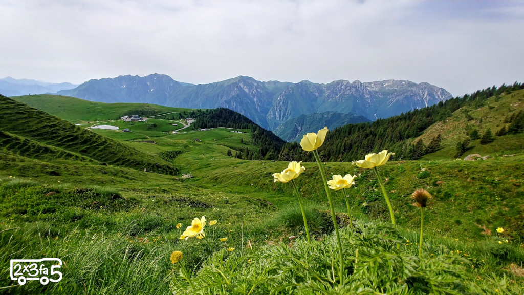 Piani dell'Avaro in camper