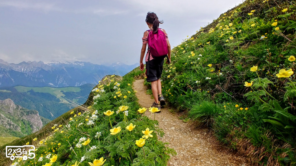 Piani dell 'Avaro in camper