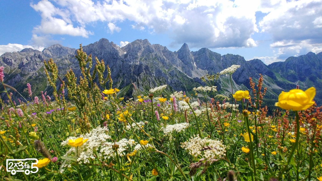 Rifugio Campione in estate con bambini. Trekking tra Val di Scalve e Valcamonica 5 blank