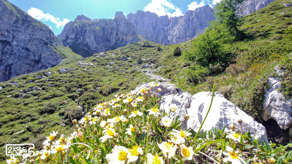 Rifugio Albani in estate