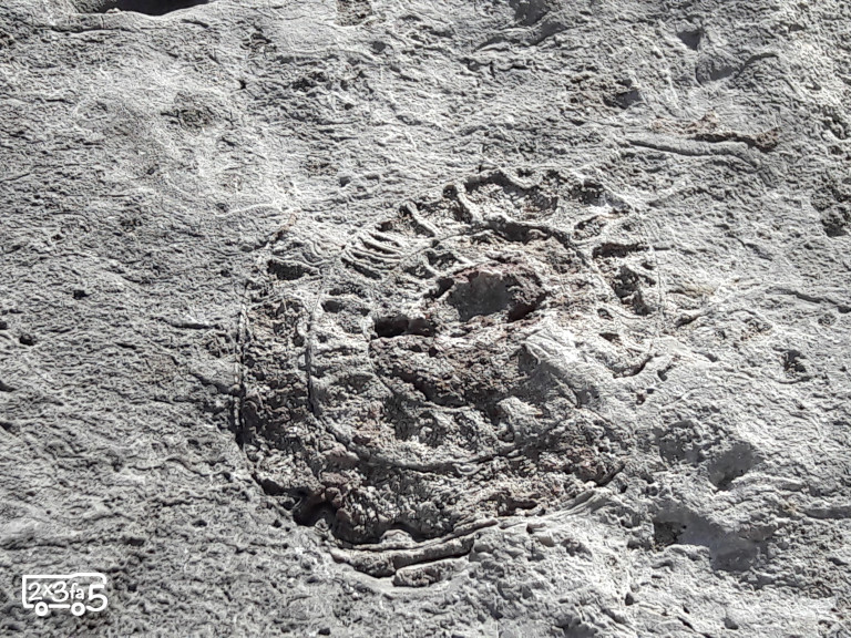 Rifugio Bietti con bambini