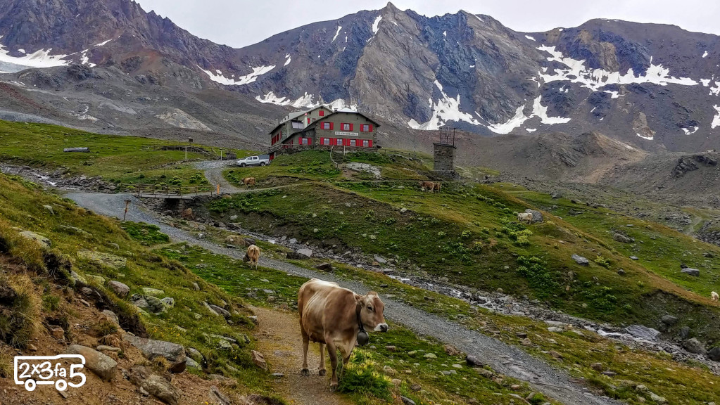 Rifugio Pizzini con bambini Rifugio Pizzini con bambini