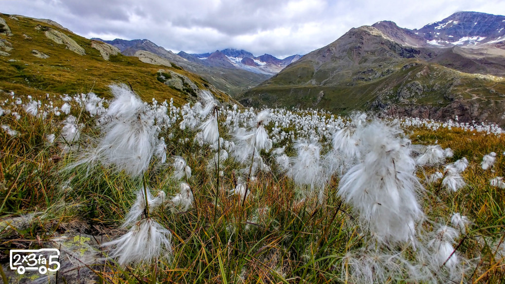 Ghiacciaio dei Forni Rifugio Branca con Bambini