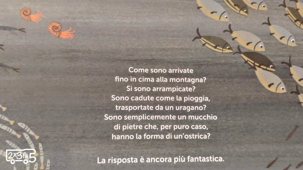Un milione di ostriche in cima alla montagna camelozampa