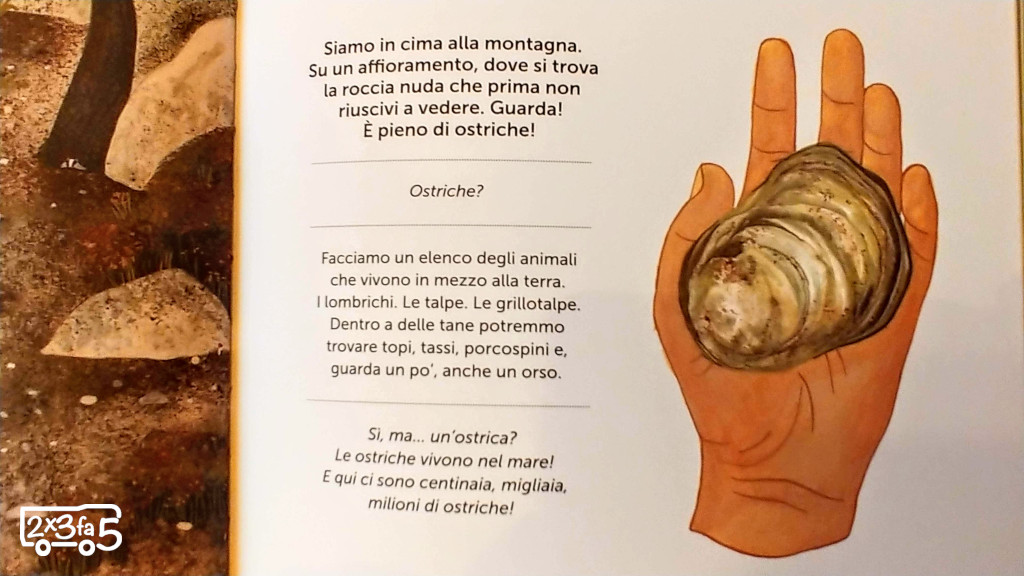 Un milione di ostriche in cima alla montagna camelozampa