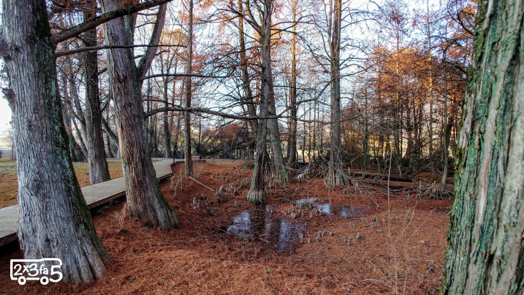 Parco dei Taxodi a Paratico