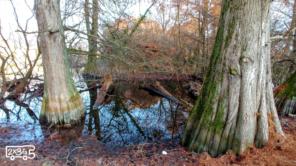 Parco dei Taxodi a Paratico