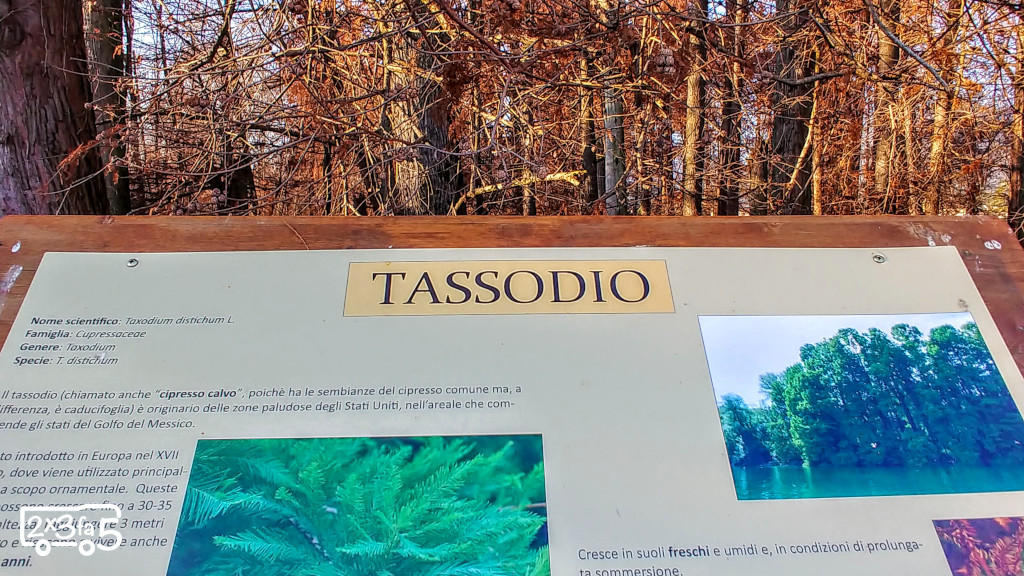 Parco dei Taxodi a Paratico