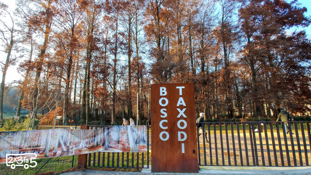 Parco dei Taxodi a Paratico