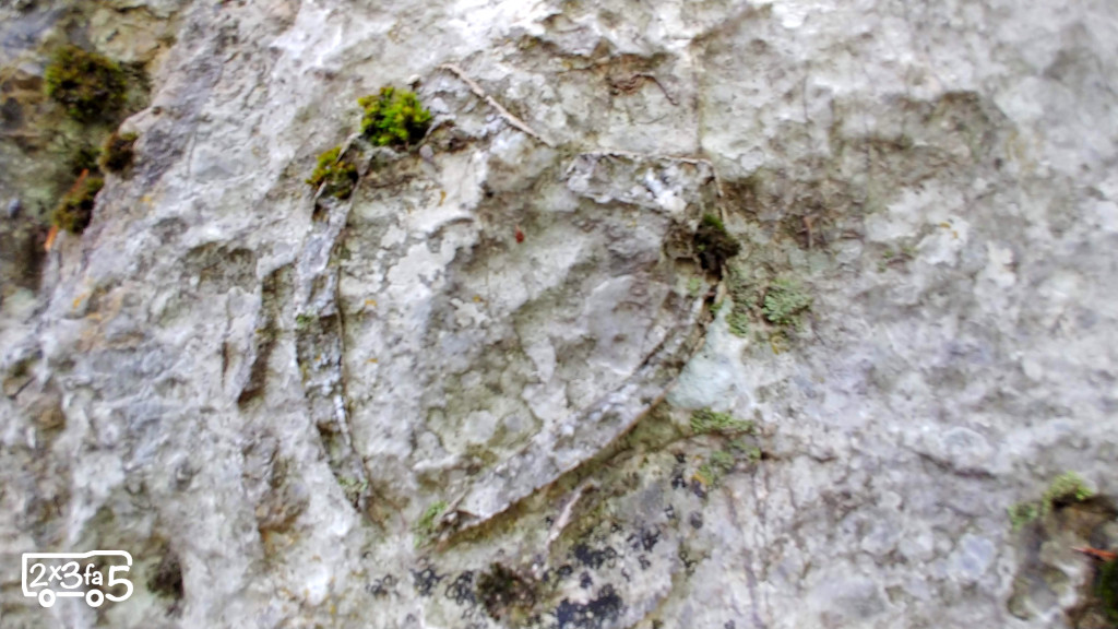 Sasso Malascarpa trekking fossili a forma di cuore Sasso Malascarpa trekking fossili a forma di cuore