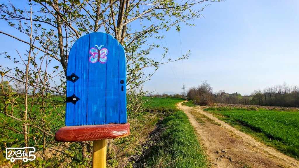 Ciliegio secolare Besana Brianza e sentiero delle fate