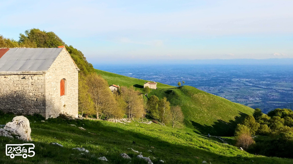 Fioritura dei narcisi sul Linzone