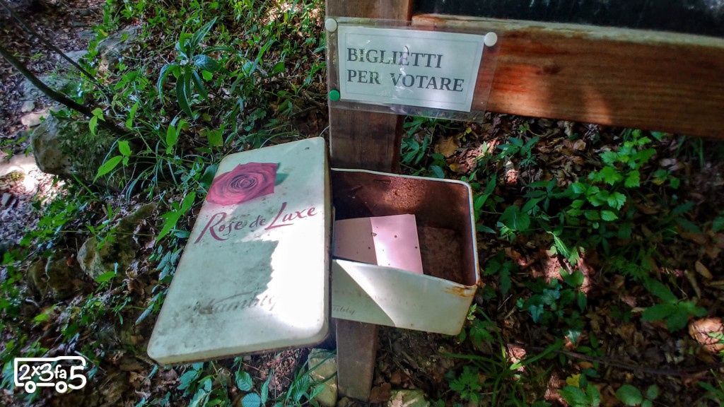 Bosco nella Brughiera San Giovanni Bianco Bosco nella Brughiera San Giovanni Bianco