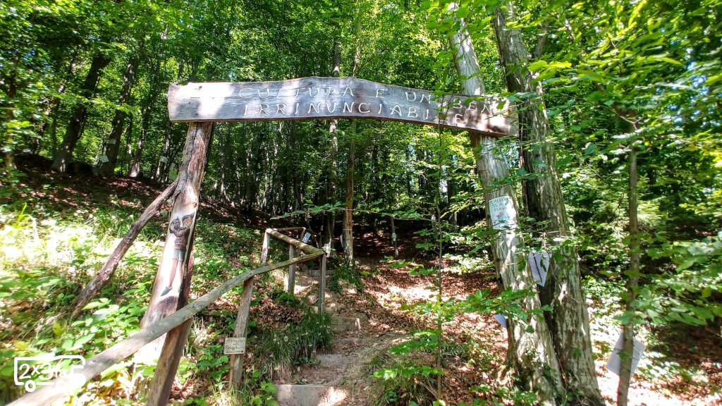 Bosco nella Brughiera San Giovanni Bianco Bosco nella Brughiera San Giovanni Bianco