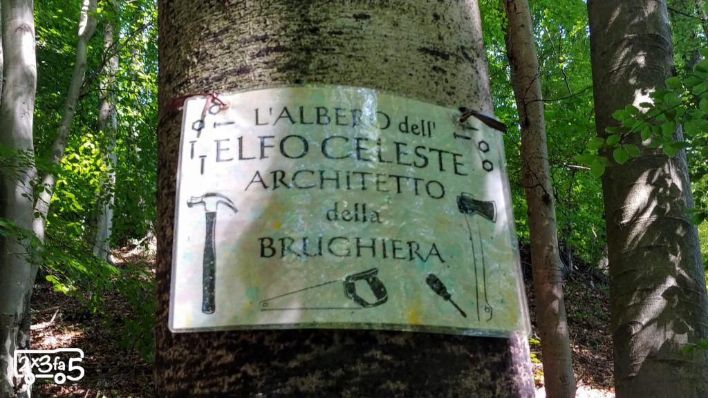 Bosco nella Brughiera San Giovanni Bianco Bosco nella Brughiera San Giovanni Bianco