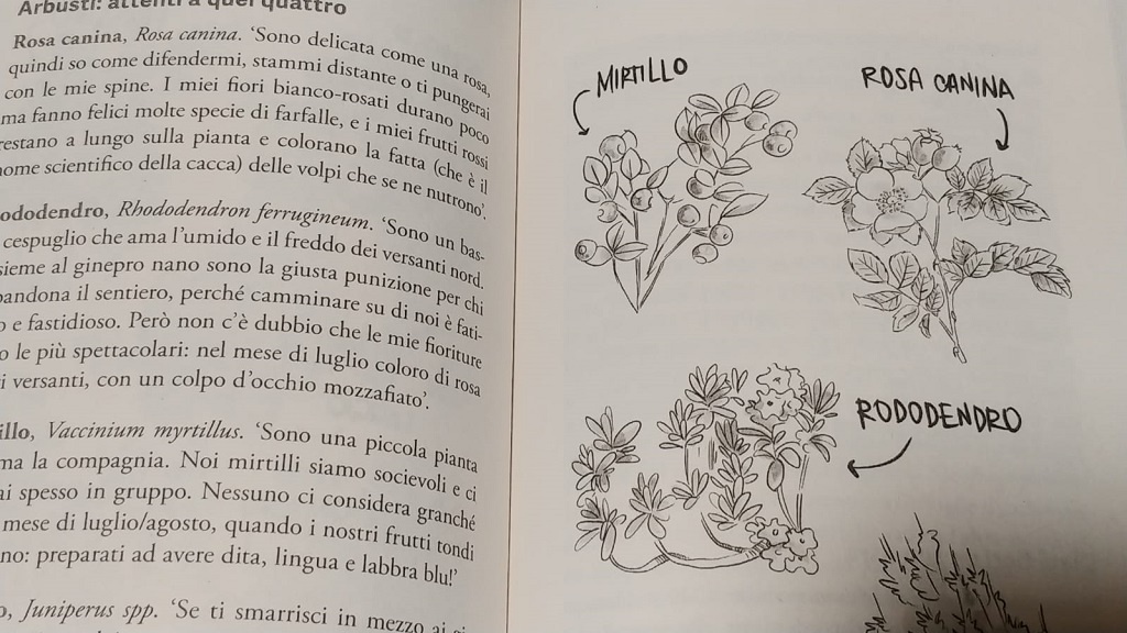 Manuale per giovani stambecchi Salani