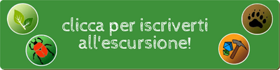 Escursione e laboratori naturalistici per bambini "Tra tracce e rocce" 3 blank
