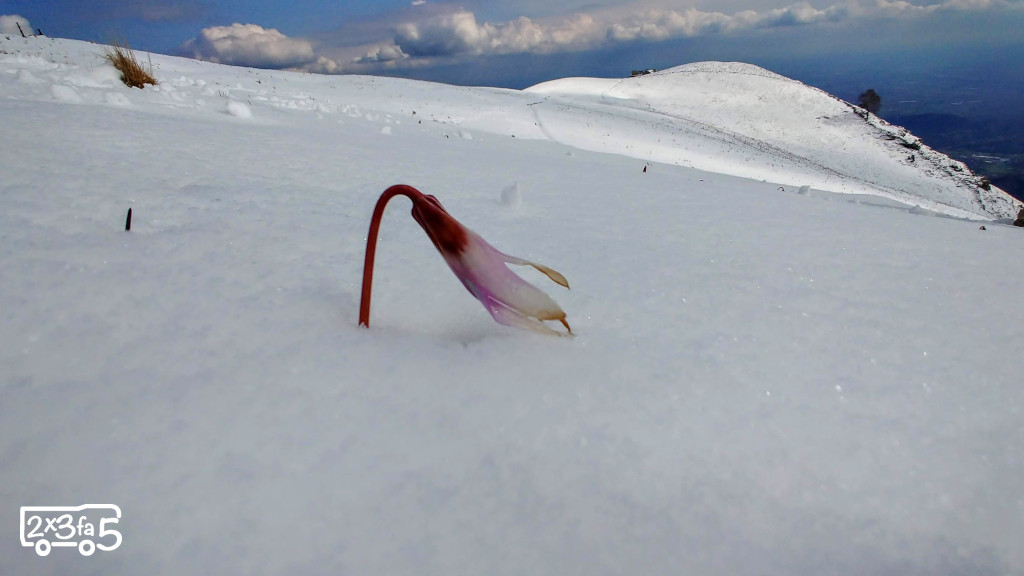 Monte Linzone in inverno