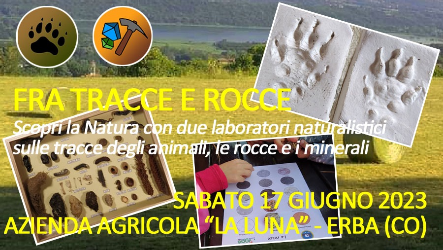 Escursione e laboratori naturalistici per bambini "Tra tracce e rocce" 2 blank